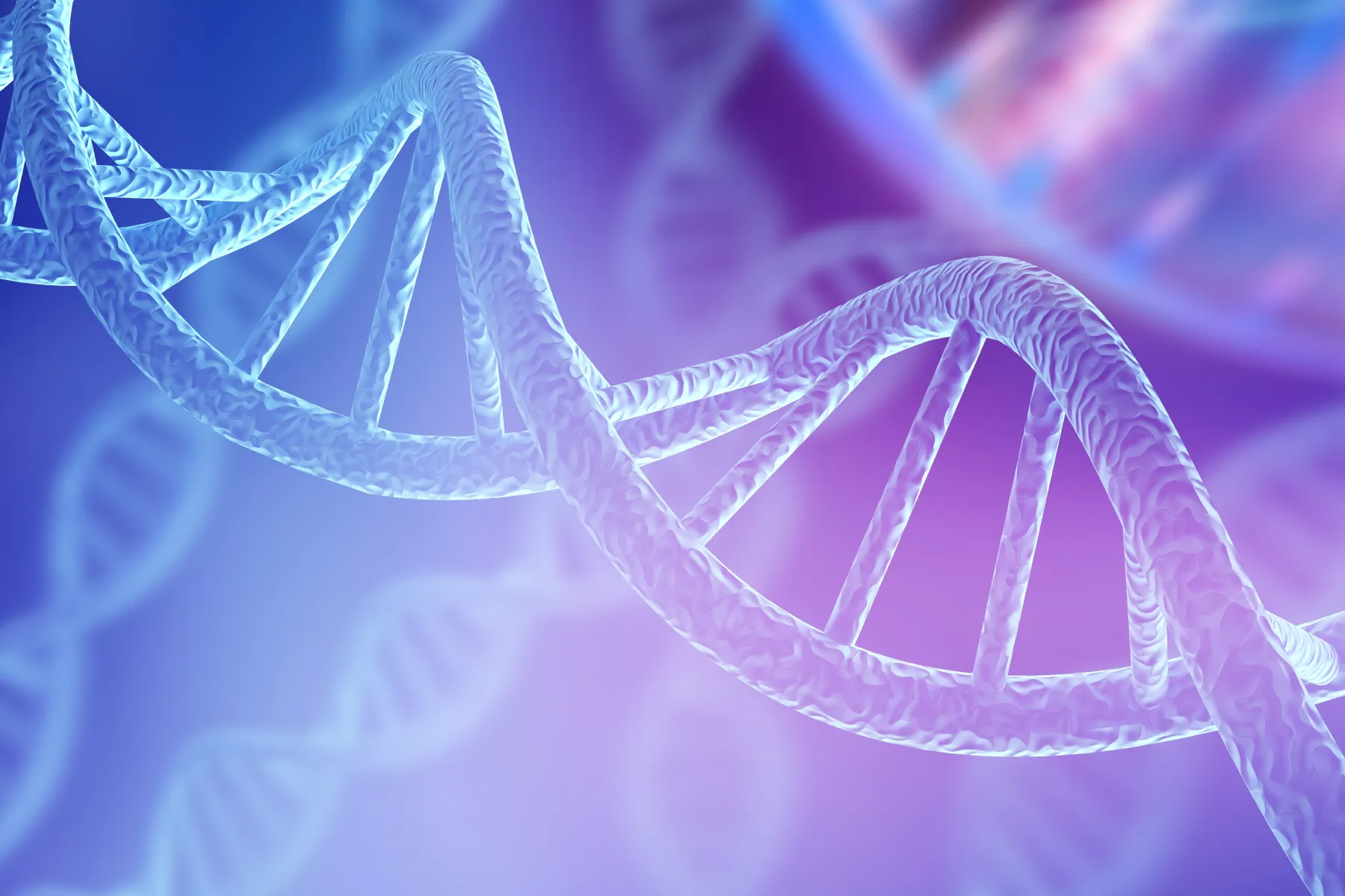 75653fdeb326927ad7917bd1863bc0bb24686dab