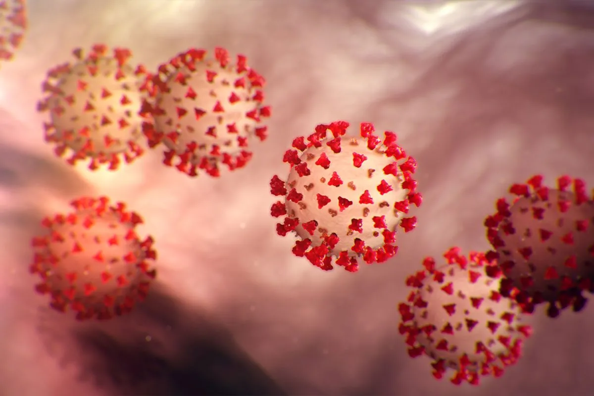 Transplantace mezenchymálních stromálních buněk zlepšuje výsledky pacientů s pneumonií způsobenou COVID-19