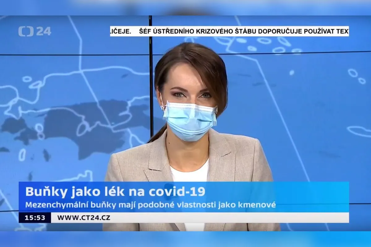 ČT24: Stromální buňky pupečníku jako lék na COVID-19? Na otázky ČT 24 odpovídal ředitel výzkumu Národního centra tkání a buněk v Brně