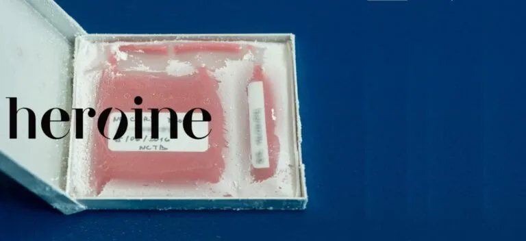 Pupečníková krev v aktuálním čísle časopisu Heroine