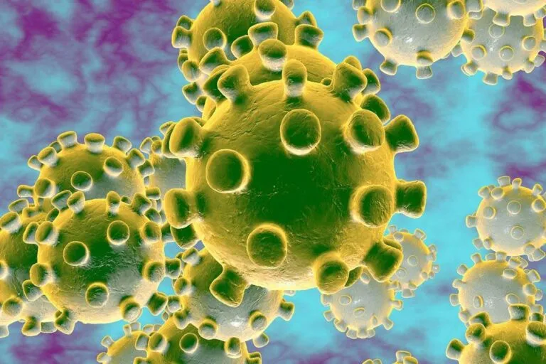 Lék na koronavirus, využívající stromální buňky z tkáně pupečníku, připravují vědci v Brně. Nezapomeňte na její uložení při porodu