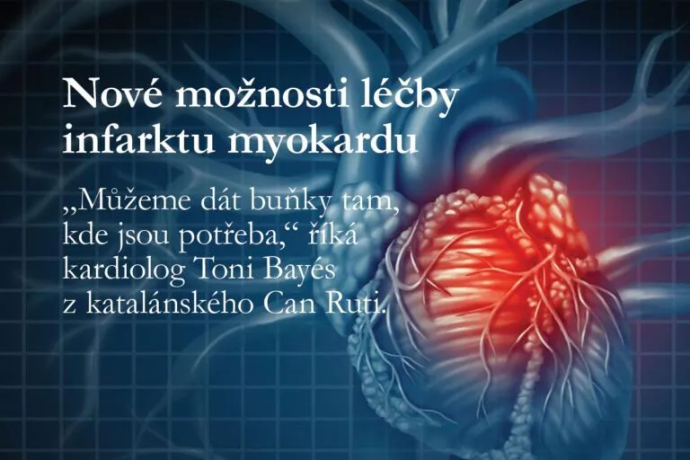 Bioimplantát z tkáně pupečníku dokáže regenerovat srdce po infarktu myokardu