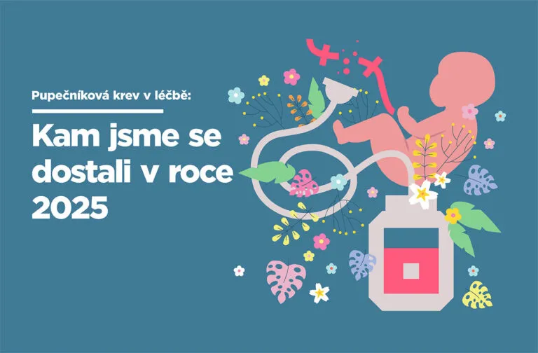 Pupečníková krev v léčbě: Kam jsme se dostali v roce 2025