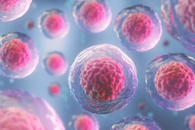 Krvetvorné kmenové buňky pomohou vyléčit i závažná onemocnění